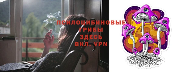 прущие грибы Покров