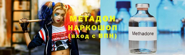 прущие грибы Покров
