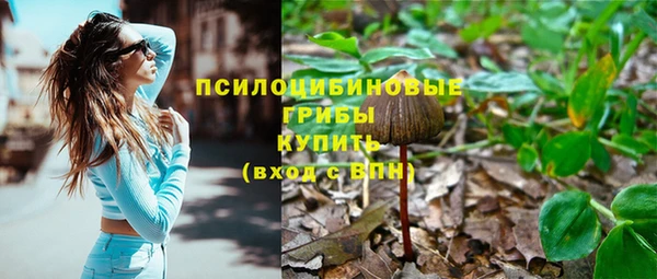 mdpv Арсеньев