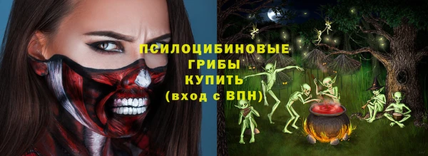 гидра Аркадак
