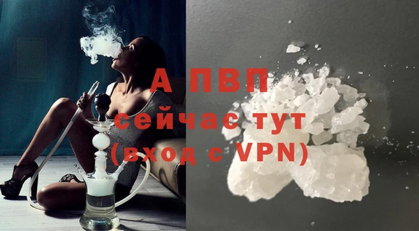 гидра Аркадак