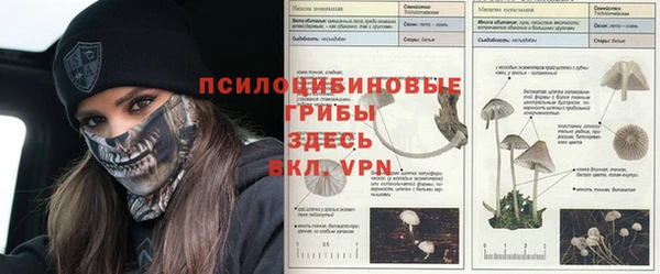 спиды Армянск