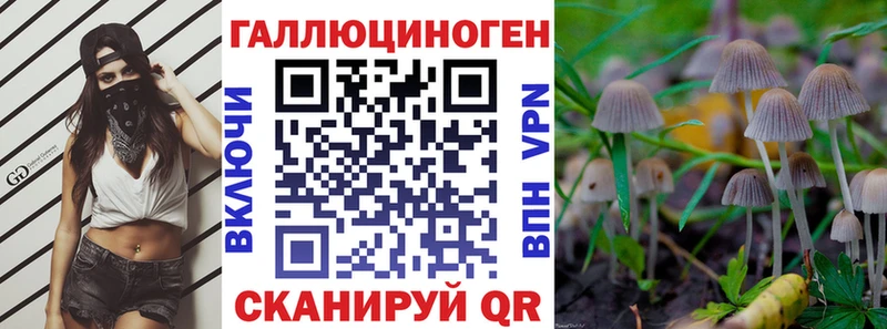 Галлюциногенные грибы Psilocybe  Новодвинск 